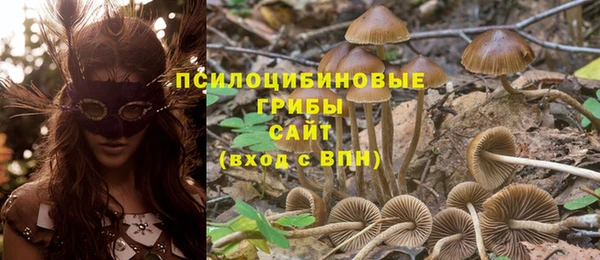 прущие крисы Магас