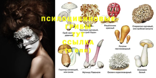 мяу мяу кристалл Алексеевка