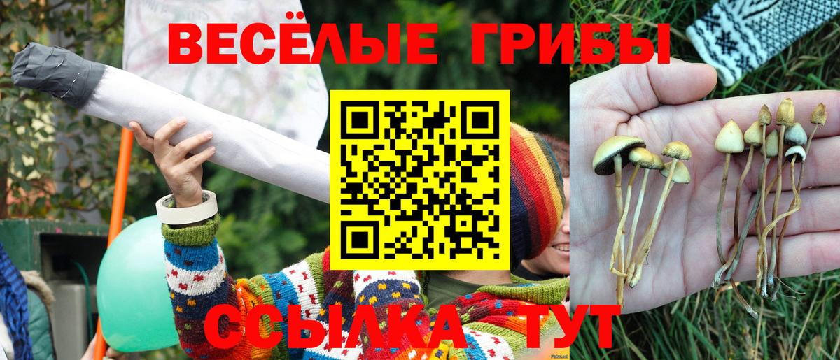 Уссурийск  Галлюциногенные грибы ЛСД  Псилоцибиновые грибы GOLDEN TEACHER  Вход с VPN 